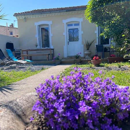 Charmante Maison Climatisee Avec Piscine Au Calme A 카르카손 외부 사진